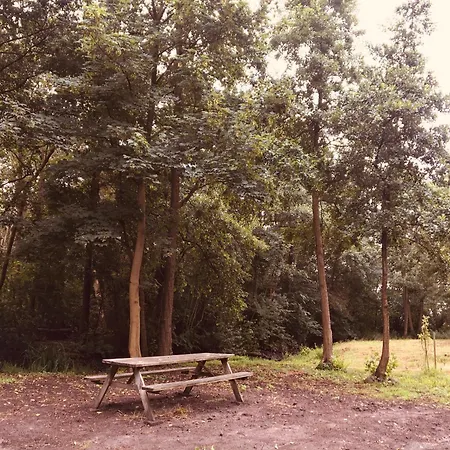Camping Bird House In Nature Schagerbrug