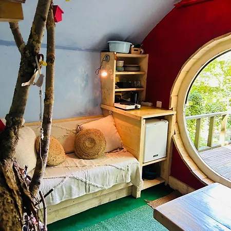 Camping Bird House In Nature *