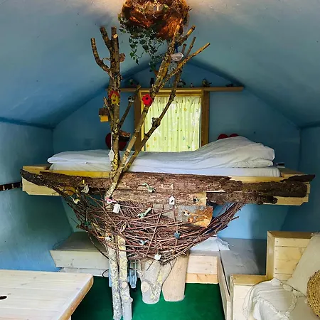 Bird House In Nature